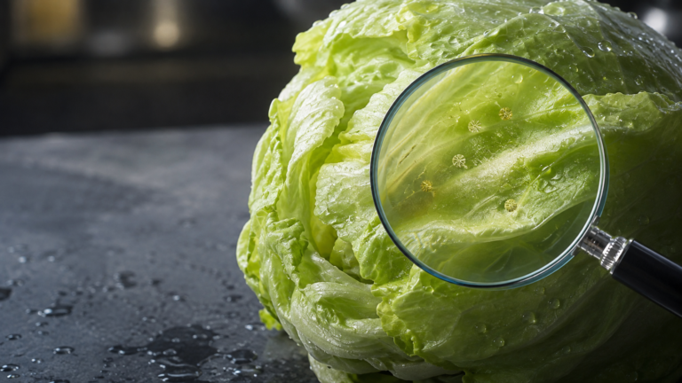 Cyclosporiasis Parasite Hidden on Fresh Lettuce
